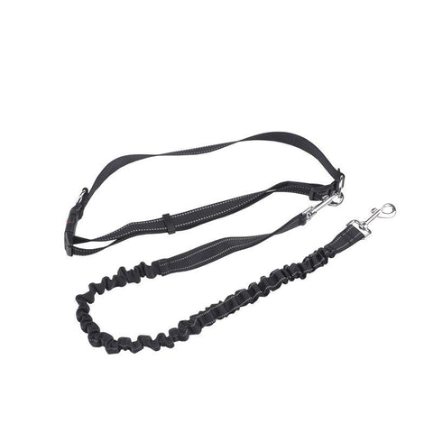 dog leash collar traction rope