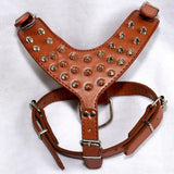Dog Harnesses with PU Collar and Punk Rivet