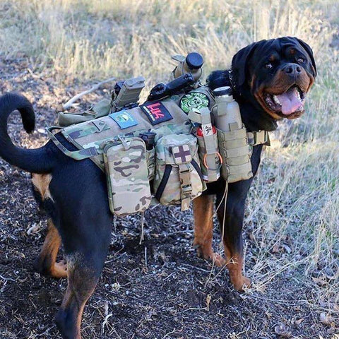 Military K9  Dogs Vest 2019