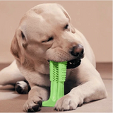 Dog Toothbrush Stick