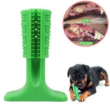 Toothbrush  Dog Chew Toy