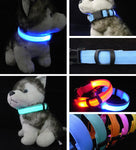 Nylon LED Dog Collar