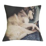 Pillows Cute  Husky