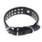 New and Top Quality Puppy Collar