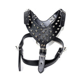 Dog Harnesses with PU Collar and Punk Rivet