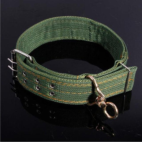 Army Green Canvas  Dog Collar