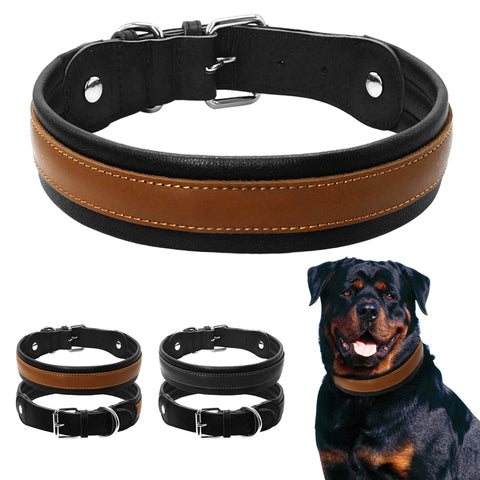 Durable Large Dog Collar