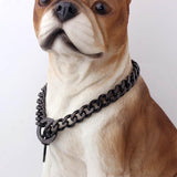 Golden Stainless Steel Dog Collar